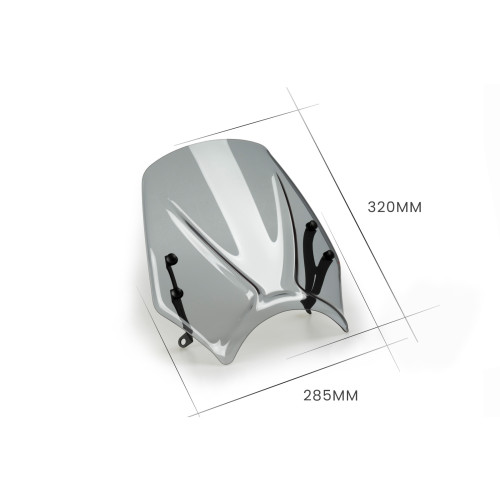 PUIG New Generation Sport Screen (Light Smoke) 20638H