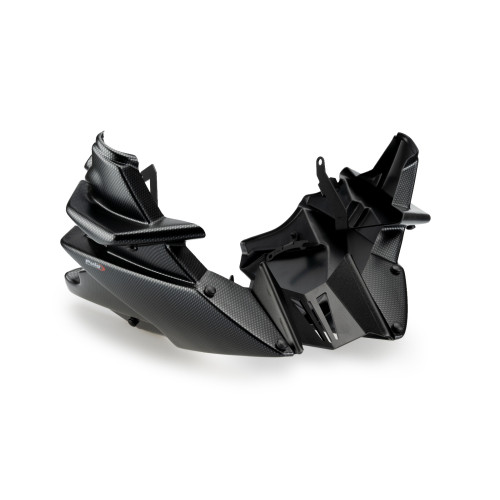 PUIG Engine Spoiler (Carbon Look) 20646C