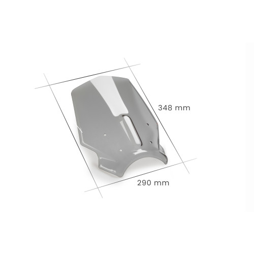 PUIG New Generation Sport Screen (Light Smoke) 20862H