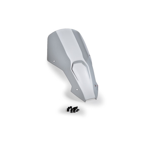 PUIG Sport Screen (Light Smoke) 21583H