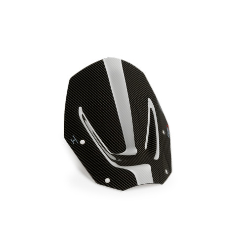 PUIG Sport Screen (Carbon Look) 21794C