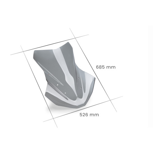 PUIG Touring Screen (Light Smoke) 21840H