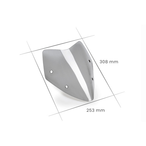 PUIG Sport Screen (Light Smoke) 21753H