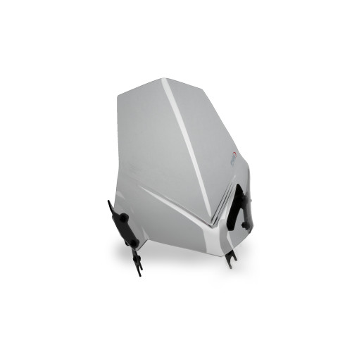 PUIG New Generation Sport Screen (Light Smoke) 4117H