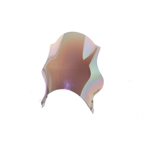 PUIG Track Screen (Titanium) 4234Y