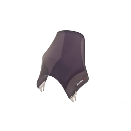 PUIG Naked Screen (Dark Smoke) 4320F