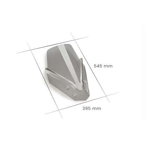 PUIG Touring Screen (Light Smoke) 21342H