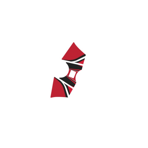 PUIG Radikal Yoke Protector (Red) 6958R