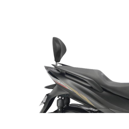 SHAD Backrest Fitting Kit Z0E353RV