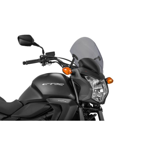 PUIG New Generation Sport Screen (Light Smoke) 7009H