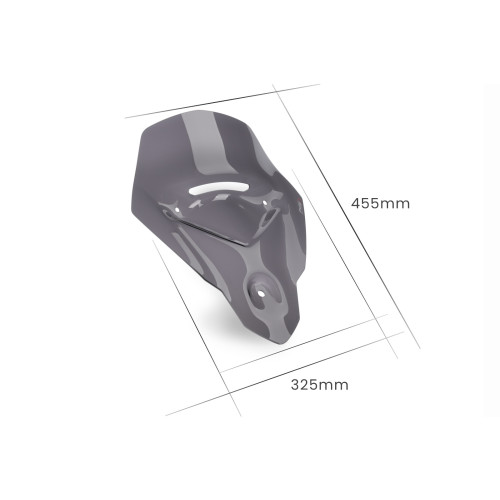 PUIG Sport Screen (Dark Smoke) 21318F