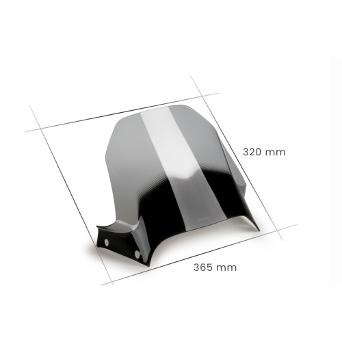 PUIG Sport Screen (Light Smoke) 21448H