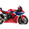 PUIG R-Racer Screen (Light Smoke) 20314H