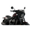 PUIG Batwing Sport Screen (Light Smoke) 21067H