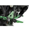 PUIG Adjustable Foot Brake Pedal (Green) 22124V