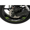 PUIG Wheel Rim Stickers (Green) 5528V