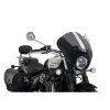 PUIG Dark Night Screen (Dark Smoke) 21115F