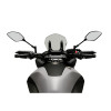 PUIG Sport Screen (Light Smoke) 20433H