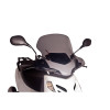 PUIG City Touring Screen (Light Smoke) 6025H