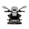 PUIG New Generation Sport Screen (Light Smoke) 21867H