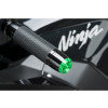 PUIG Thruster Bar Ends (Black) 9409N