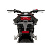 PUIG Tail Tidy (Black) 9653N