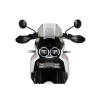 PUIG Sport Screen (Light Smoke) 21448H