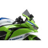 PUIG R-Racer Screen (Light Smoke) 22468H