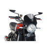 PUIG Carbon Look Fairing With Vision Screen (Light Smoke) 024CH