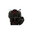 PUIG Tail Tidy (Black) 3874N