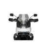 PUIG Sport Screen (Light Smoke) 20841H