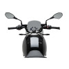 PUIG New Generation Sport Screen (Light Smoke) 22132H