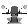 PUIG New Generation Sport Screen (Dark Smoke) 22188F