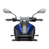 PUIG New Generation Sport Screen (Light Smoke) 22412H
