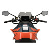 PUIG New Generation Sport Screen (Light Smoke) 20425H