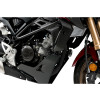 PUIG R19 Frame Sliders (Black) 9654N