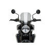 PUIG New Generation Sport Screen (Light Smoke) 22189H