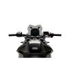 PUIG Sport Screen (Light Smoke) 21868H