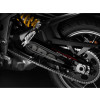 PUIG Swing Arm Protector (Black) 20213N