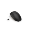 PUIG Front Fender Extender (Black) 3681N