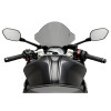 PUIG R-Racer Screen (Light Smoke) 22085H