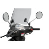 PUIG Urban Screen (Light Smoke) 21212H