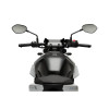 PUIG New Generation Sport Screen (Light Smoke) 21649H