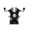 PUIG Dark Night Screen (Light Smoke) 21107H