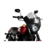 PUIG Dark Night Screen (Light Smoke) 21099H