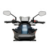 PUIG New Generation Sport Screen (Light Smoke) 21997H