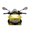 PUIG Z-Racing Screen (Light Smoke) 20794H
