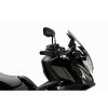 PUIG Sport Screen (Light Smoke) 20584H
