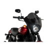 PUIG Dark Night Screen (Dark Smoke) 21099F
