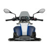 PUIG New Generation Sport Screen (Light Smoke) 22299H